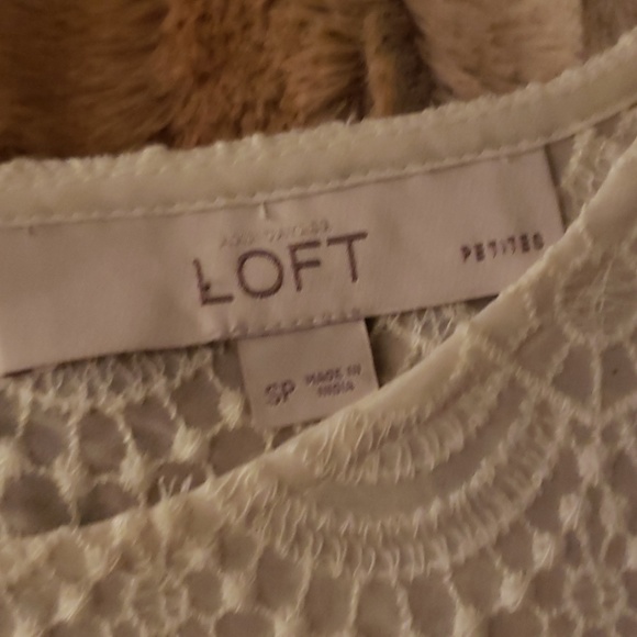 ANN TAYLOR-LOFT cream lace top - Picture 2 of 4